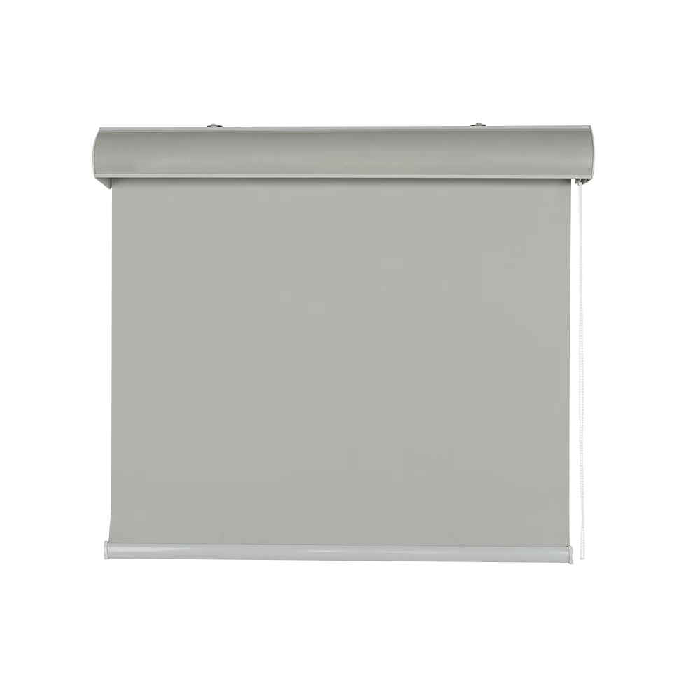 Wholesale Blinds Roller Shades Roller Manual Fabric Blackout Blinds Motorized Blinds