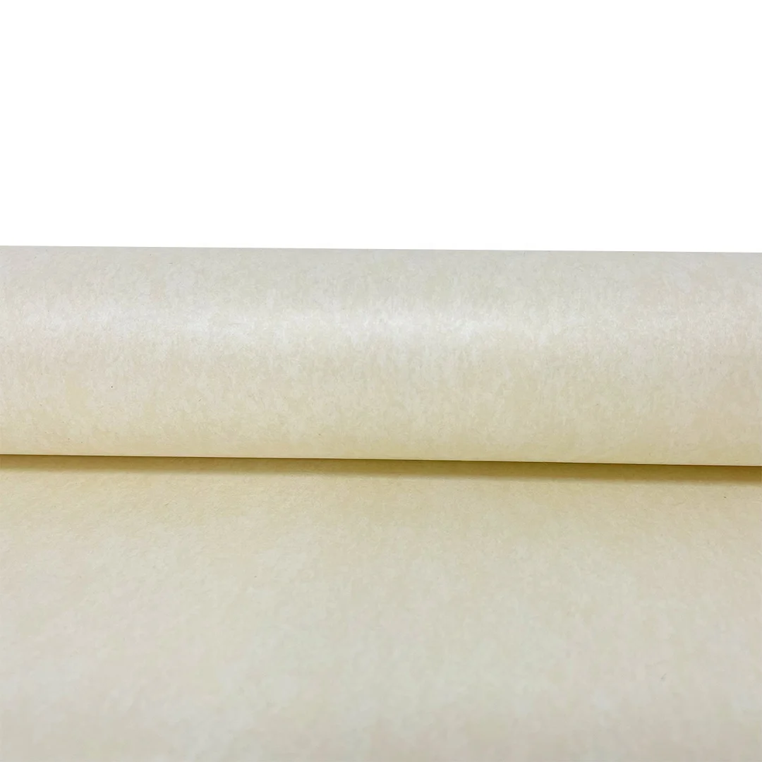 High Temperature Resistant Meta Aramid Lining Nomex Insulation  Paper For Motor Winding