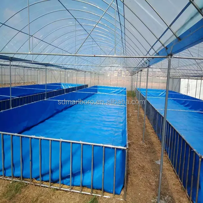 Профессиональный резервуар SDM для рыбного хозяйства, система рециркуляции аквакультуры