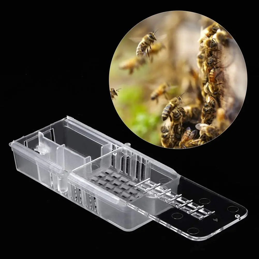 White Transparent  Bee Cages Light Weight Plastic Beekeeping Rearing Cups Kit Bee Queen Cages Beekeeper Equipment Tools