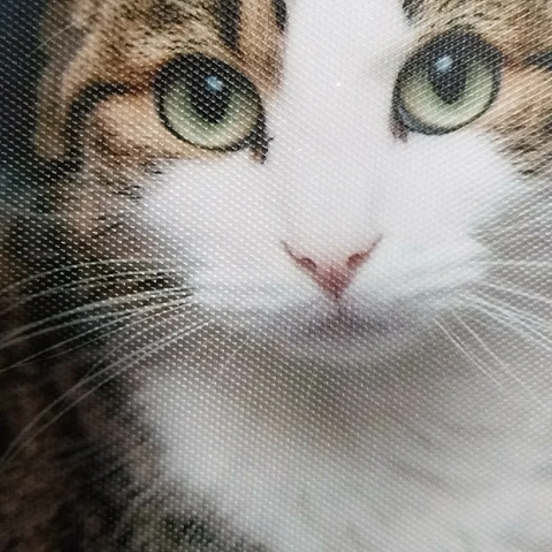 Jinan Powerful Cross Texture Cold Lamination Film Texture Pvc Film Photo Cold Lamination Film