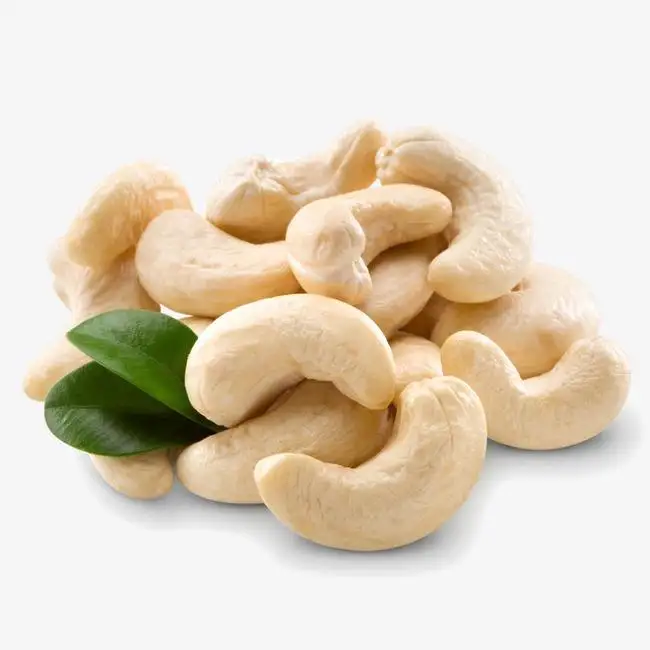 Cashew Nuts With Quality Warranty High Organic Fully White Dried Bulk Product
