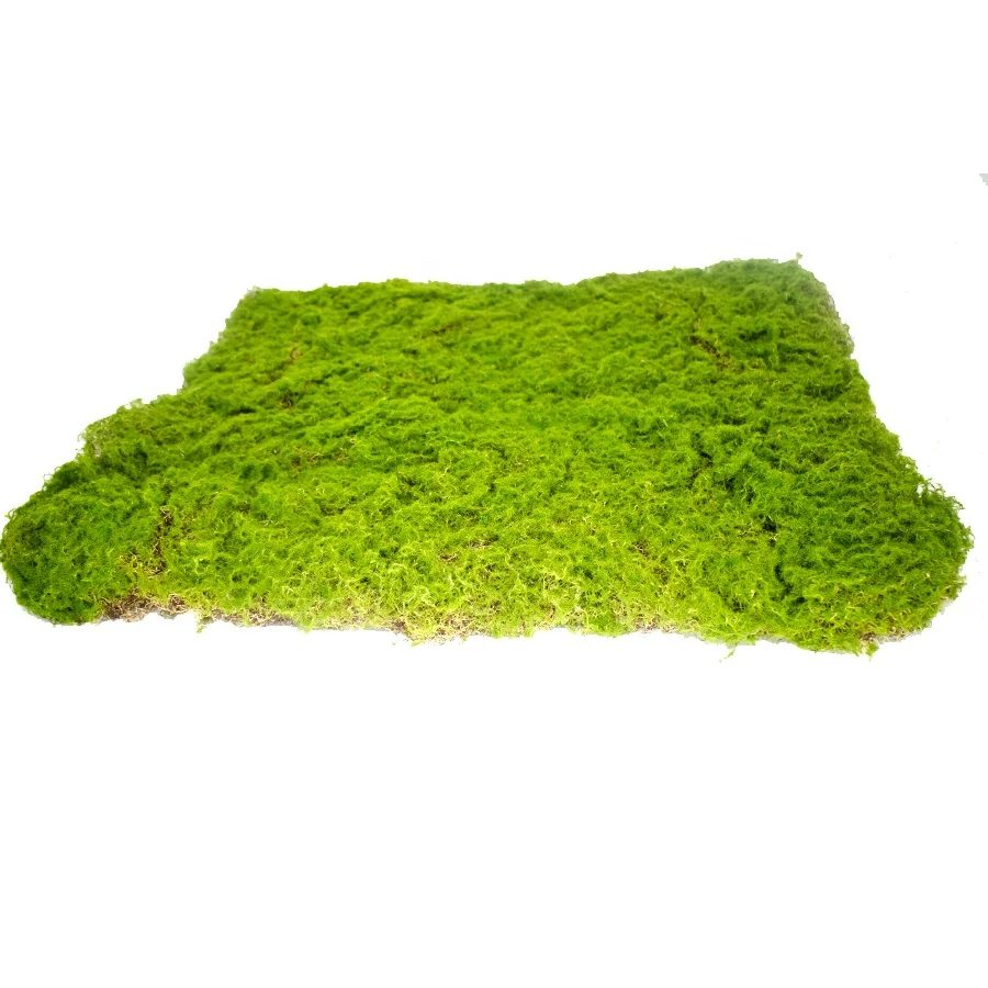 Artificial green moss 50cm x 50cm for vertical base application