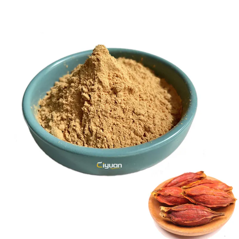 OEM Packing Label Gardenia Extract powder Fructus Gardeniae Extract Powder