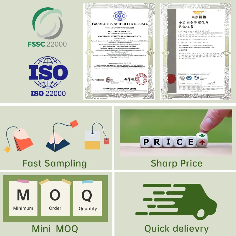 Echinasea tea ECHINACEA double chamber teabags