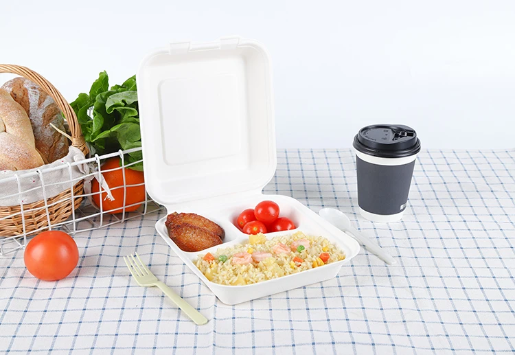 Restaurant catering wholesale disposable biodegradable Ecofriendly Box takeaway Lunchbox 9x7inch