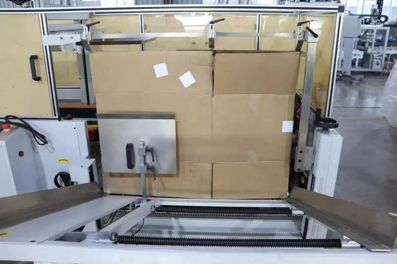auto bag pack into paper box carton case packing machine