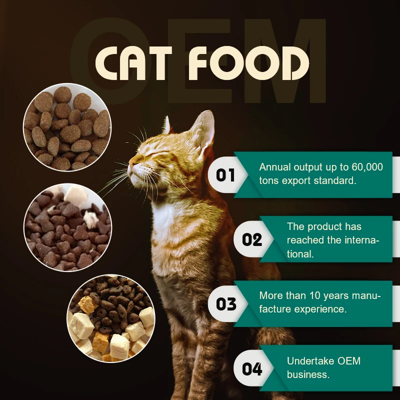 OEM ODM  Natural Raw Materials 10kg Multiple Shapes Pet Cats Like Nutritious Balanced Chicken Flavor Dry Cat Food
