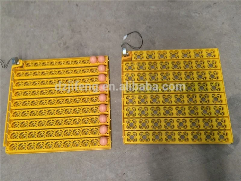 high quality and best price egg cabinet incubators