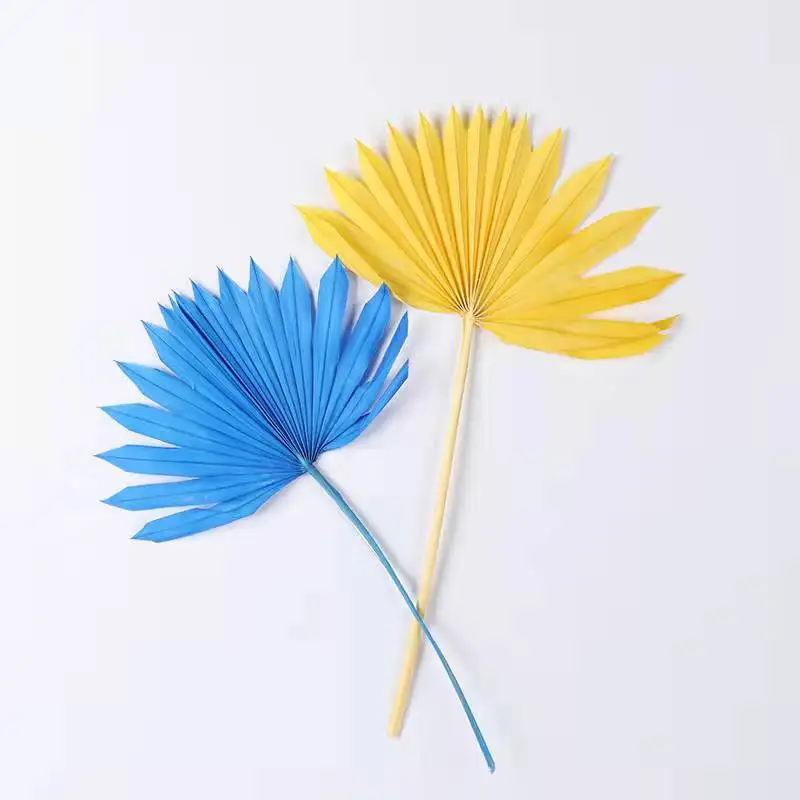 Wholesale high quality dried leaf flower wedding home decoration flower beauty good price dried palm leaves