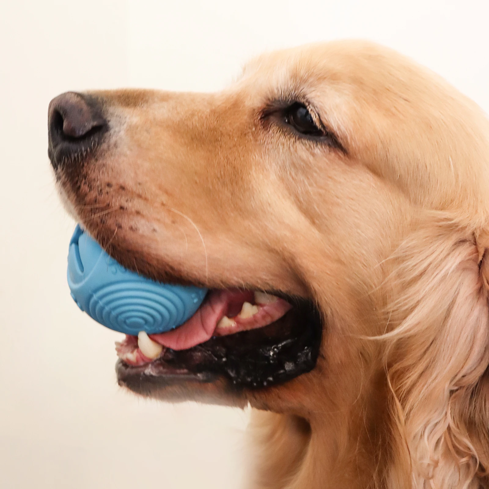 Durable Rubber Pet Chew Toy Ball New Design Sustainable Tooth Cleaning Toy for Cats and Dogs
