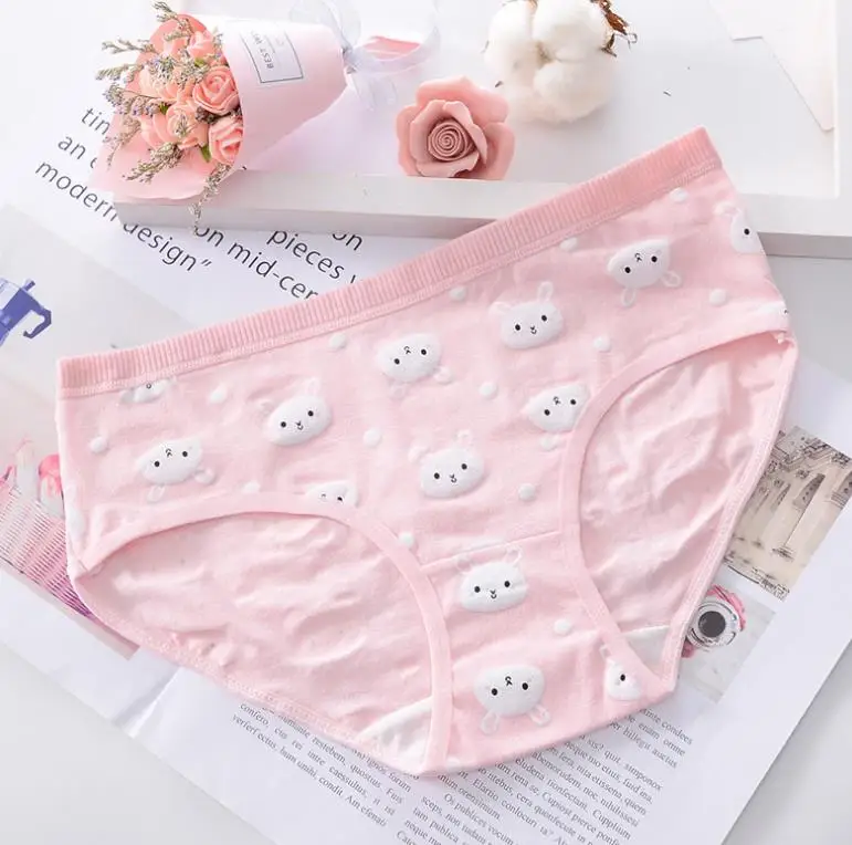 
New 4pcs Teenage Panties Rabbit Underpants Young Girl Briefs Comfortable Cotton Pink Panties 