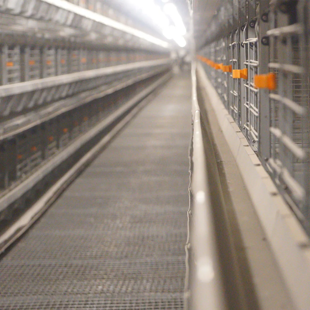 Laying Hens H Type Battery Egg Chicken Cage Chicken Egg Layer Farming Equipment