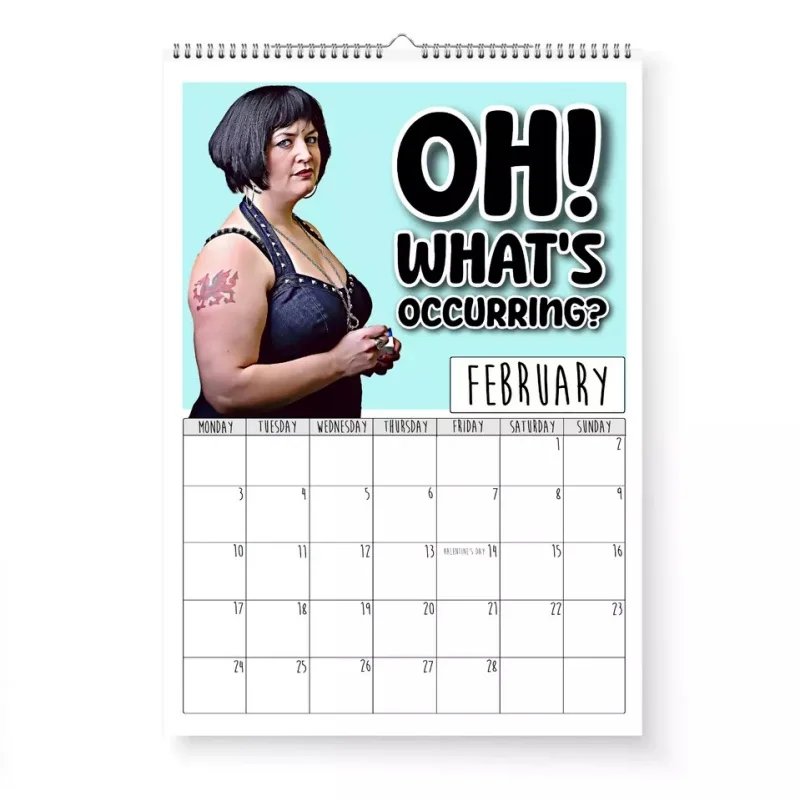 2025 новый календарь 12 месяцев настенный Gavin and Stacey ежемесячный планировщик Забавный для дома или