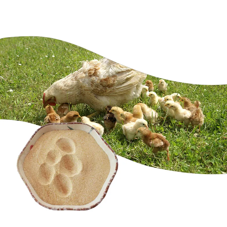 Feed-grade Additives to Protect Intestinal Mucosa Xylanase Enzyme Powder