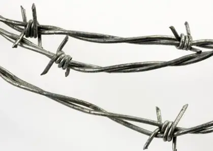 hot dip galvanized welded strand galvanized barbed wire fence from China factory