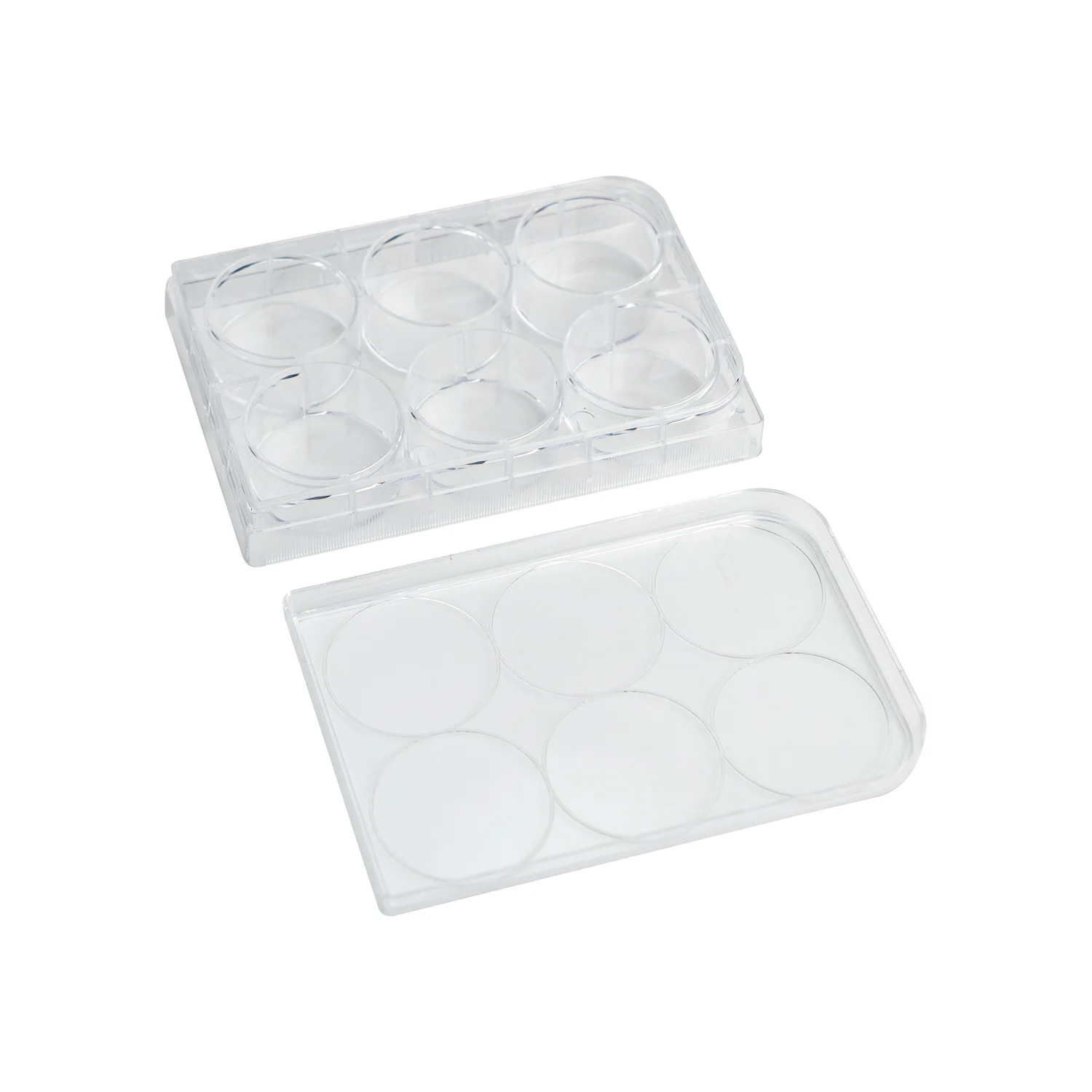 Lab 24 well sterile cell tissue culture plate