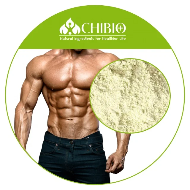 95% Green Pea Protein Bulk Pea Protein Isolate Organic Fermented  for Blood Function