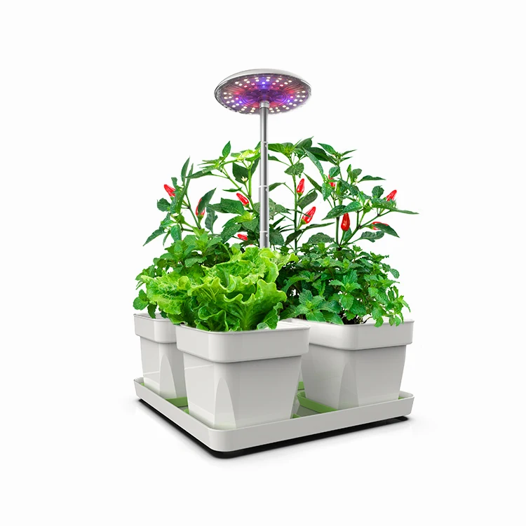 Smart Soil Hydroponic System Indoor Hydroponic Garden Indoor Hydroponics Grow Kit for Home Garden