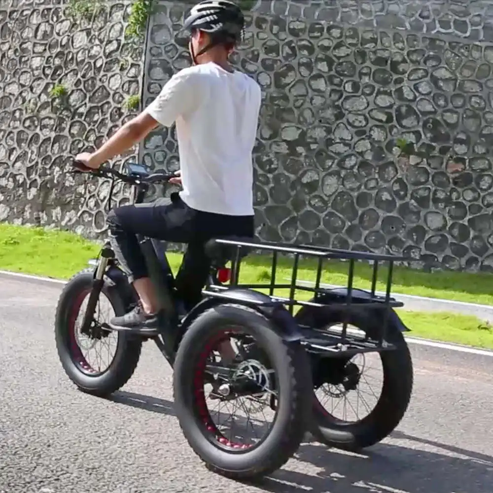 20inch Cargo 500w 750w electric tricycle 3 wheel electric bicycle fat tyre three wheel electric bike mountain E trike