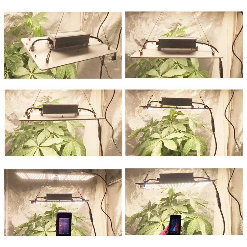 rhong Commercial MW drive lm301b red 660nm 450W 660W  full spectrum led grow lights