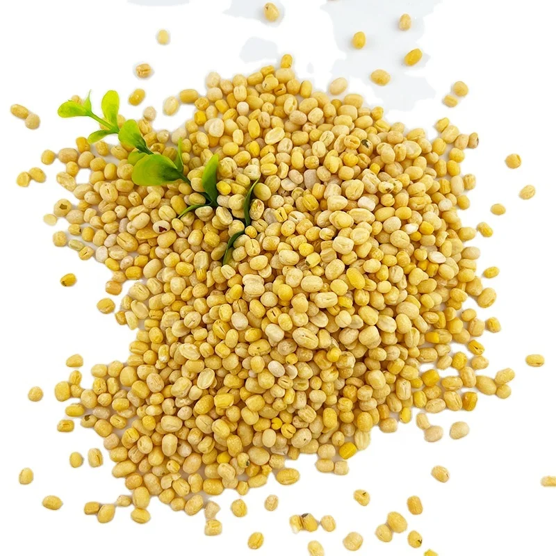 Wholesale High Quality Green Vigna green gram vigna green beans Mung Beans green moong peeled/skinless split green mung bean