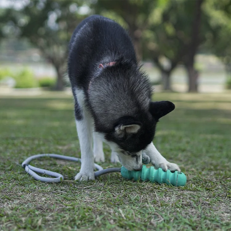 2021 hot selling  multi-functional dog rope toy dog interactive toy training stick tug toy for tug