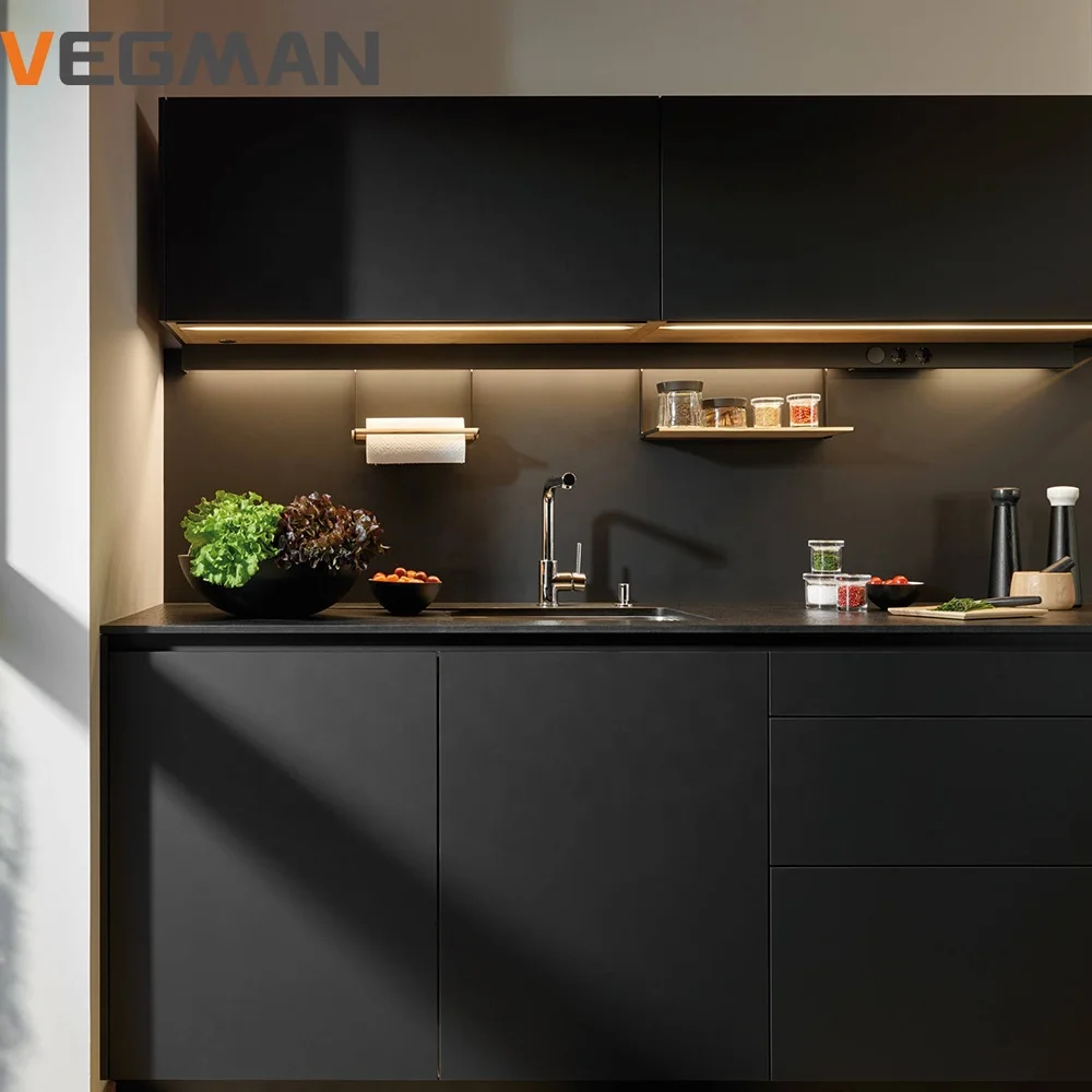 Hotel Small Lacquer Kitchen Cabinets Waterproof Black Wood Modular Cabinet Set