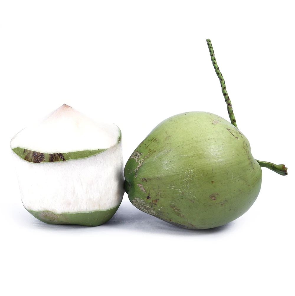 Frozen Coconut Water