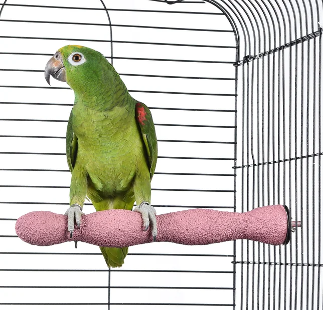 
Bird Cement Pedicure Perch 