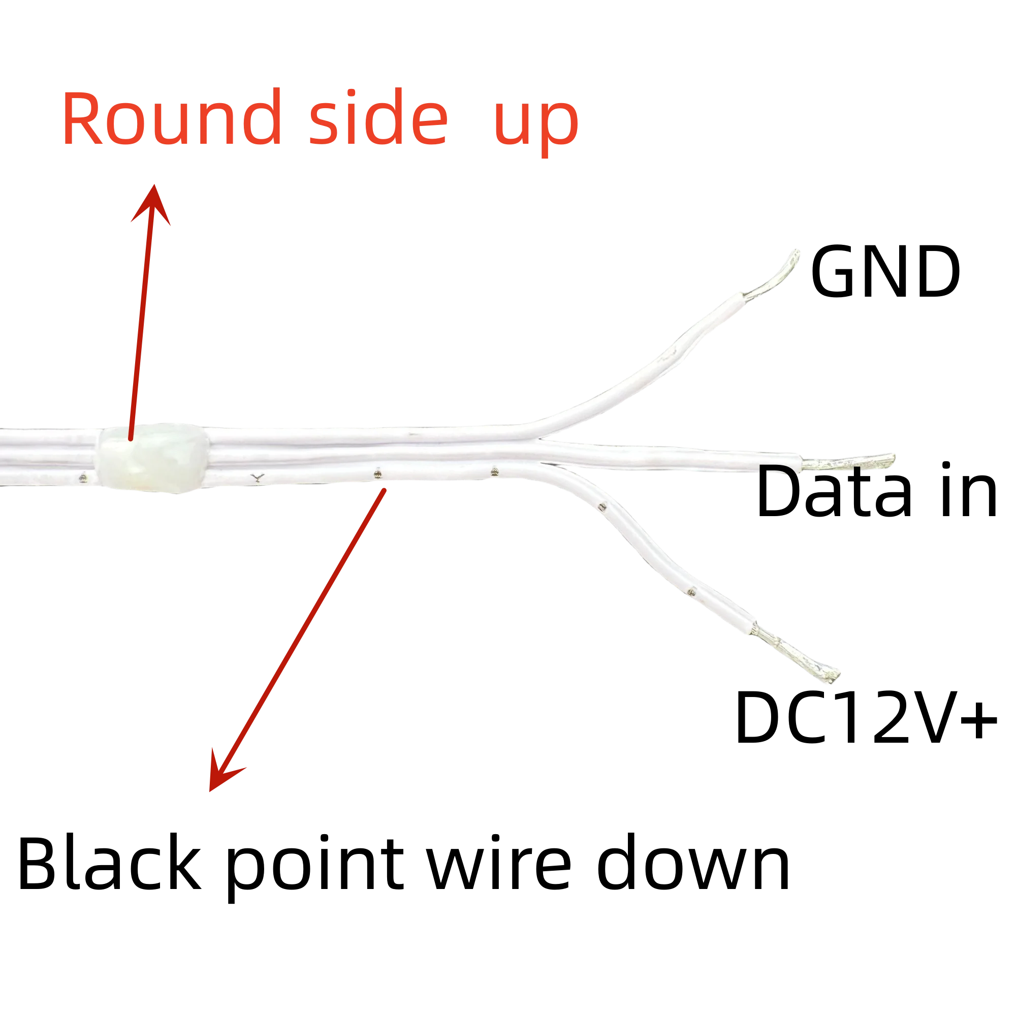 DC12V 1000ct Pixels 25mm/50mm Pitch WS2811 LED Pebble Seed Pixel String Light RGB Addressable Full Color IP67 White Wire