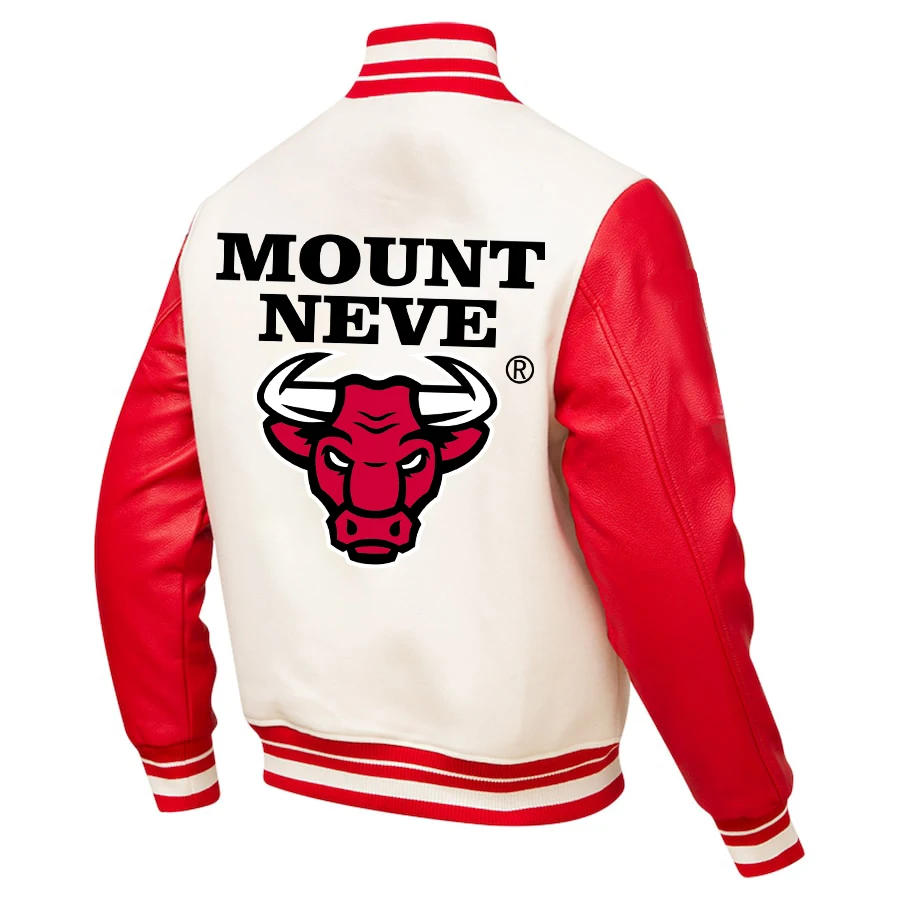 Custom Wholesale High Quality Windbreak Basketball Bomber Jackets Men Woven Varsity Jacket Coat Jacket Customized Logo Printing