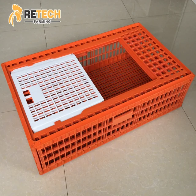 High capacity poultry farm plastic transport chicken cages for layers broiler chickens