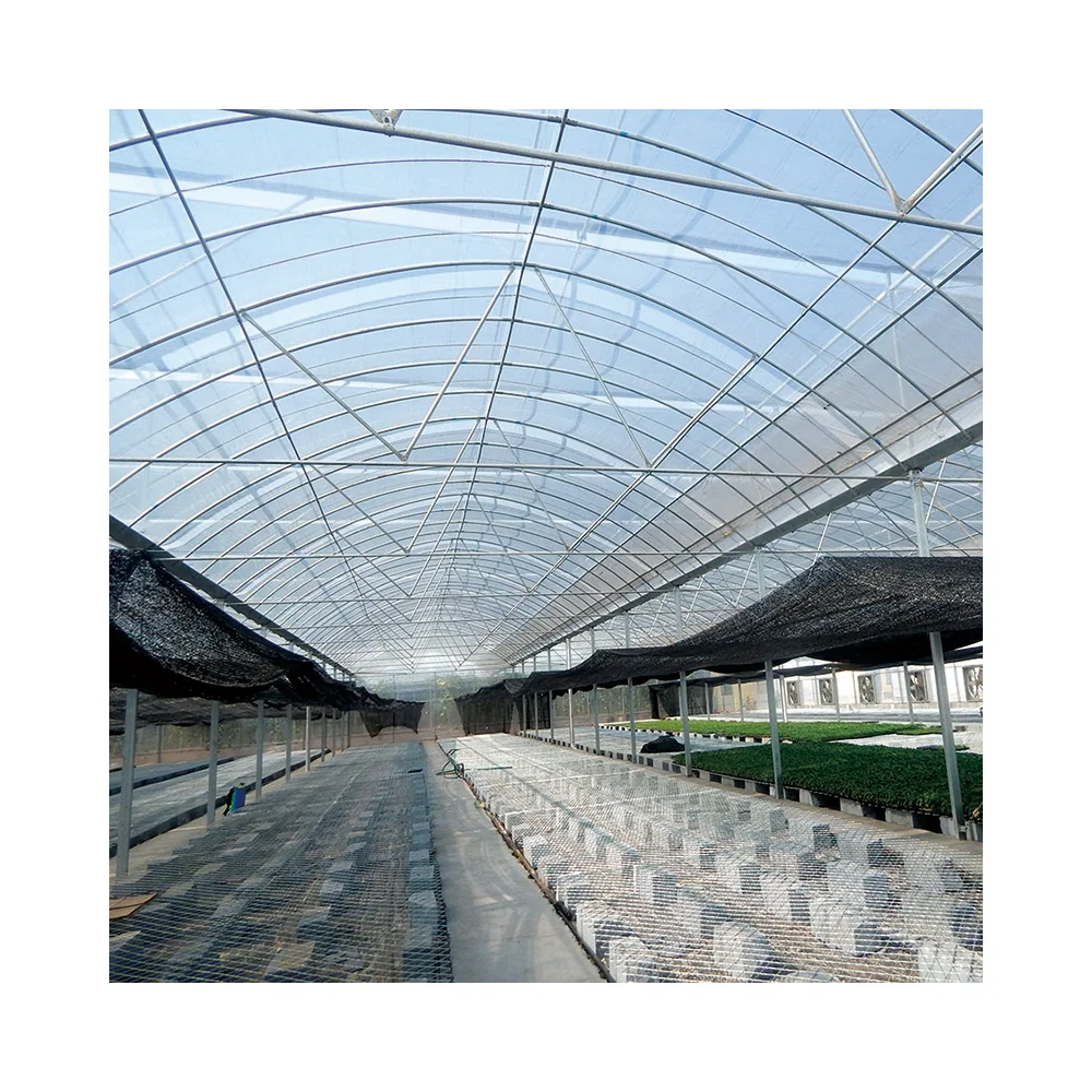 AGROTIME low cost plastic shed greenhouse tomato/potato/lettuce agriculture hoop house full container or half container