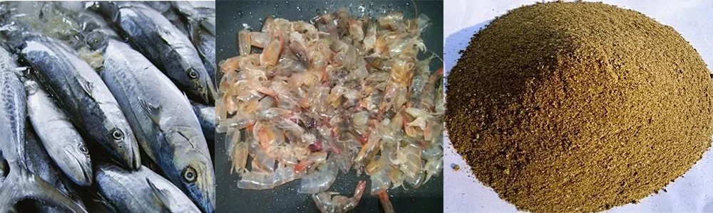 compact fish meal plant fish meal machine fish meal plant