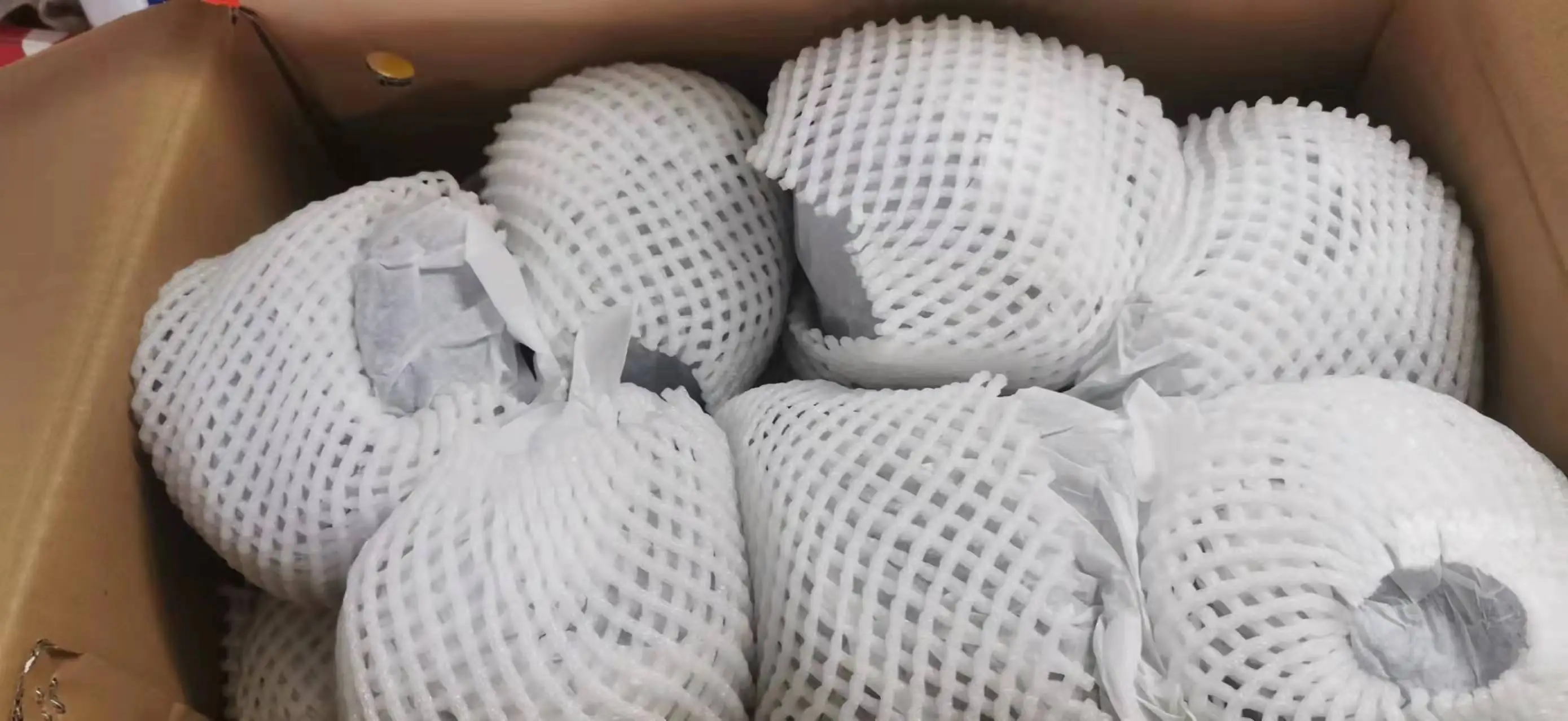 Fresh Vegetable Fresh Purple Cabbage