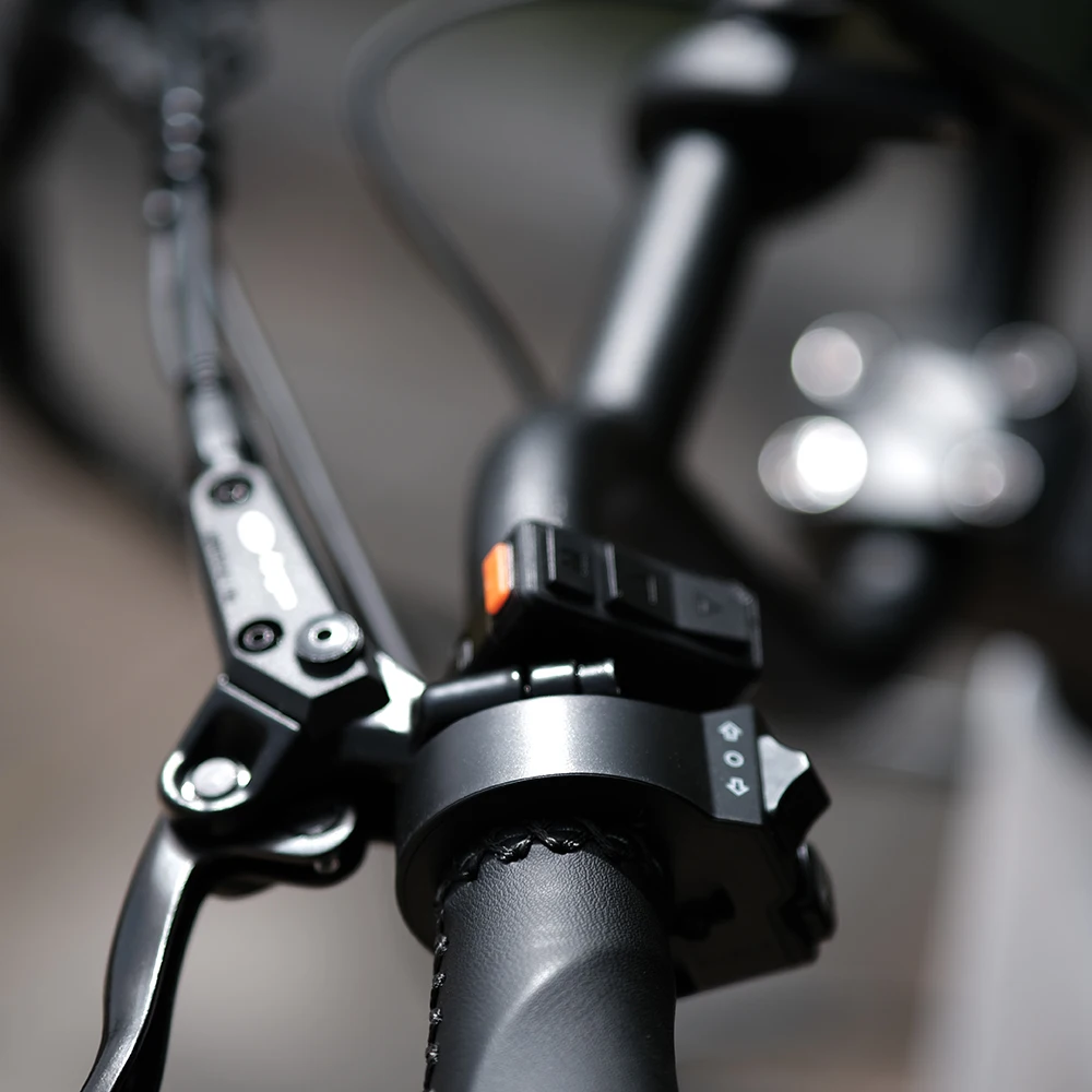 Aimos Classic 20 inch Adult City Electric Bike 250W/500W 10ah/20ah Lithium battery E Bike Electric Motorcycle Bicycle