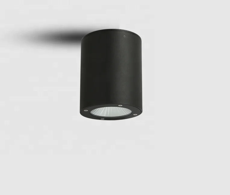 6W 15W 3 years Warranty Indoor and Outdoor Light 100DX150H,100DX200Hmm Die Casting Aluminium Modern Ceiling Light