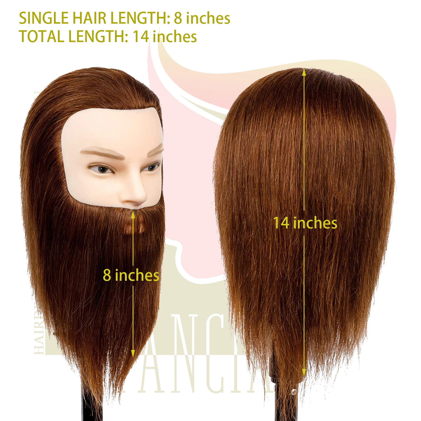 Male training head with 100% human hair and beard, salon hair styling and practice beauty human body model head