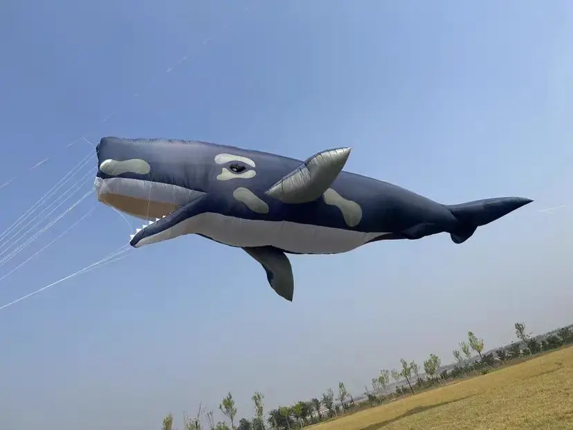 Free shipping Best product fish kite soft flying professional kites for adults large inflatable kite show ripstop
