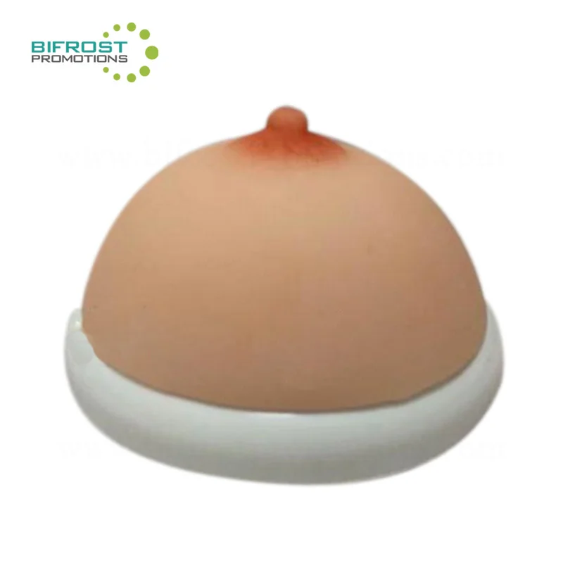 12 cm Anatomical Teaching Sexy Breast Women Model