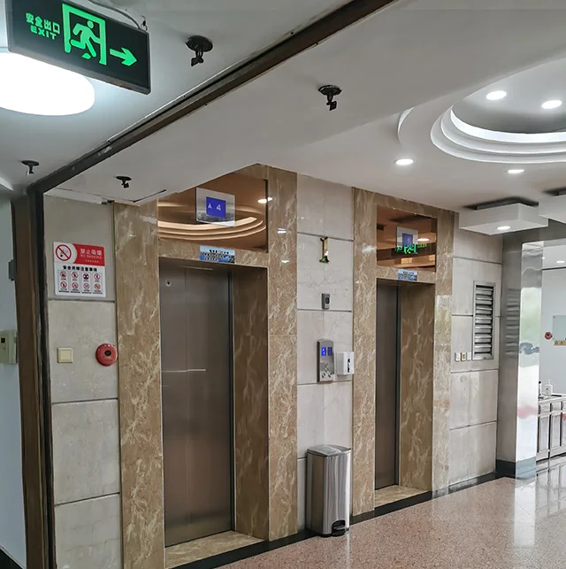 Professional Manufacturer Residential Commercial Passenger Elevator