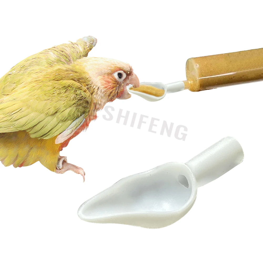 4cm Small Bird Handfeeding Spoon For Baby Birds Feeding Spoon Can Be Used With Injection Tubes