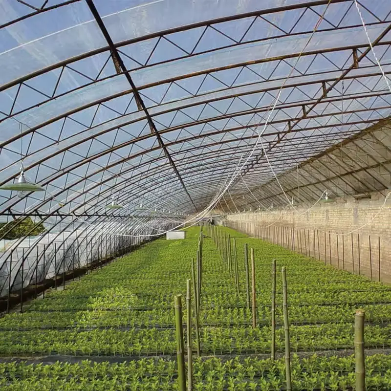 Customized butterfly orchid pot pallet for nutrition bowl for sale