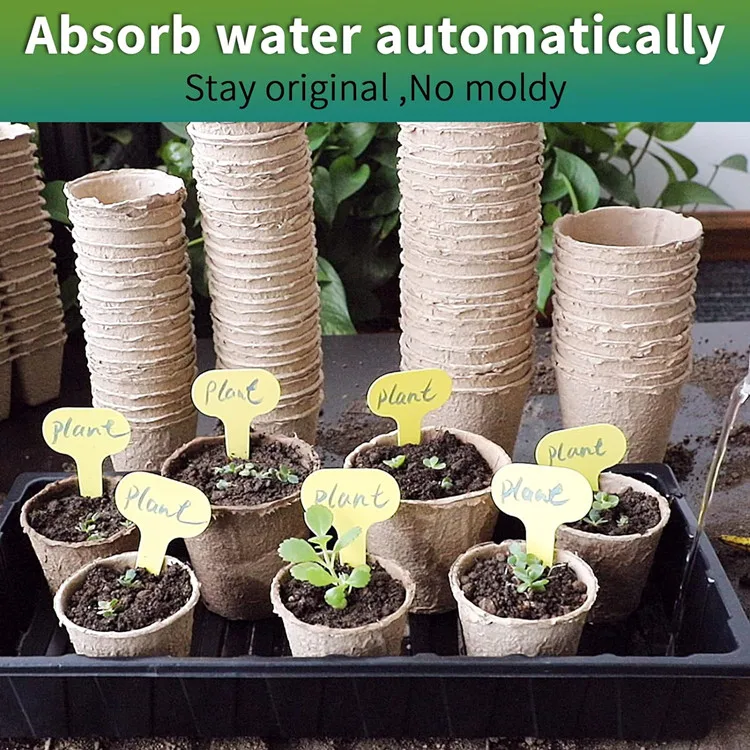 biodegradable paper pulp organic seeding pots for starting flowering plants herbs vegetables strawberries