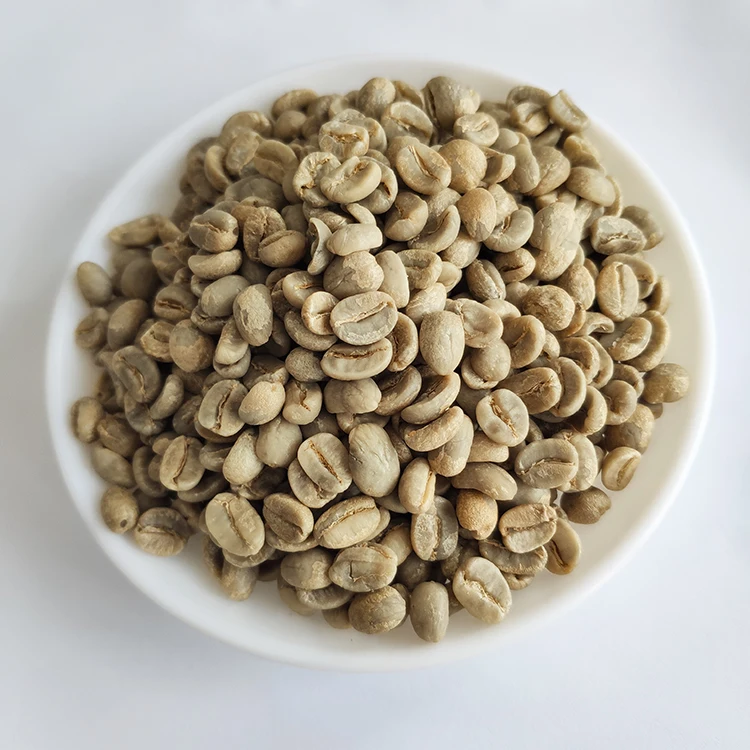 
Wholesale High Quality Coffee Beans Seeds Export Coffee Beans 