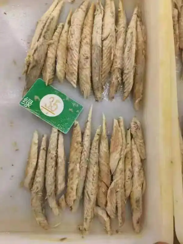 Origin china New stock precooked bonito tuna loin with good quality