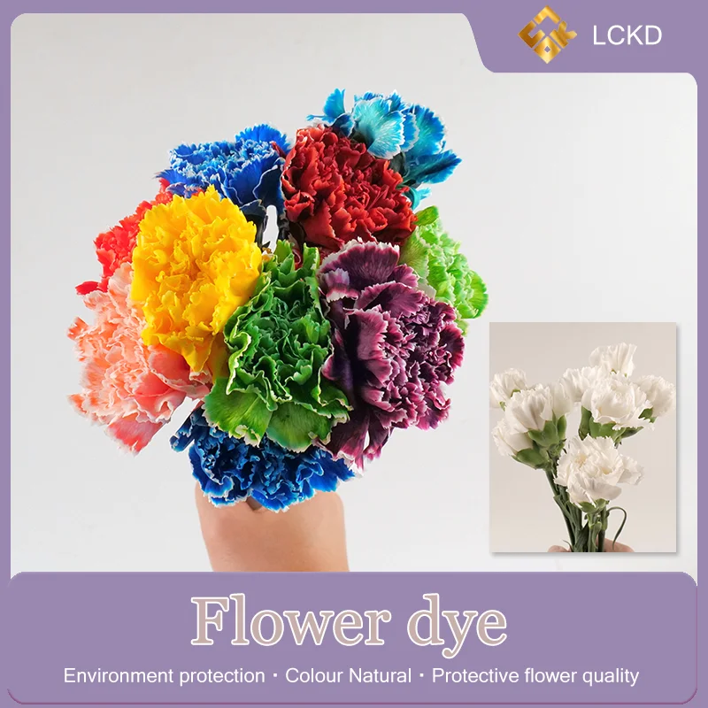 Manufacturer supply Dye the flowers a variety of colors Safe and odorless Flower colorant