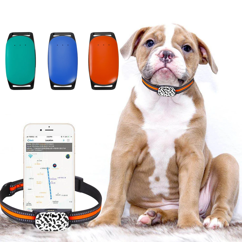Latest waterproof smart 4G GPS tracker for pet dog cat wild animals with free collar and free IOS+Android mobile APP