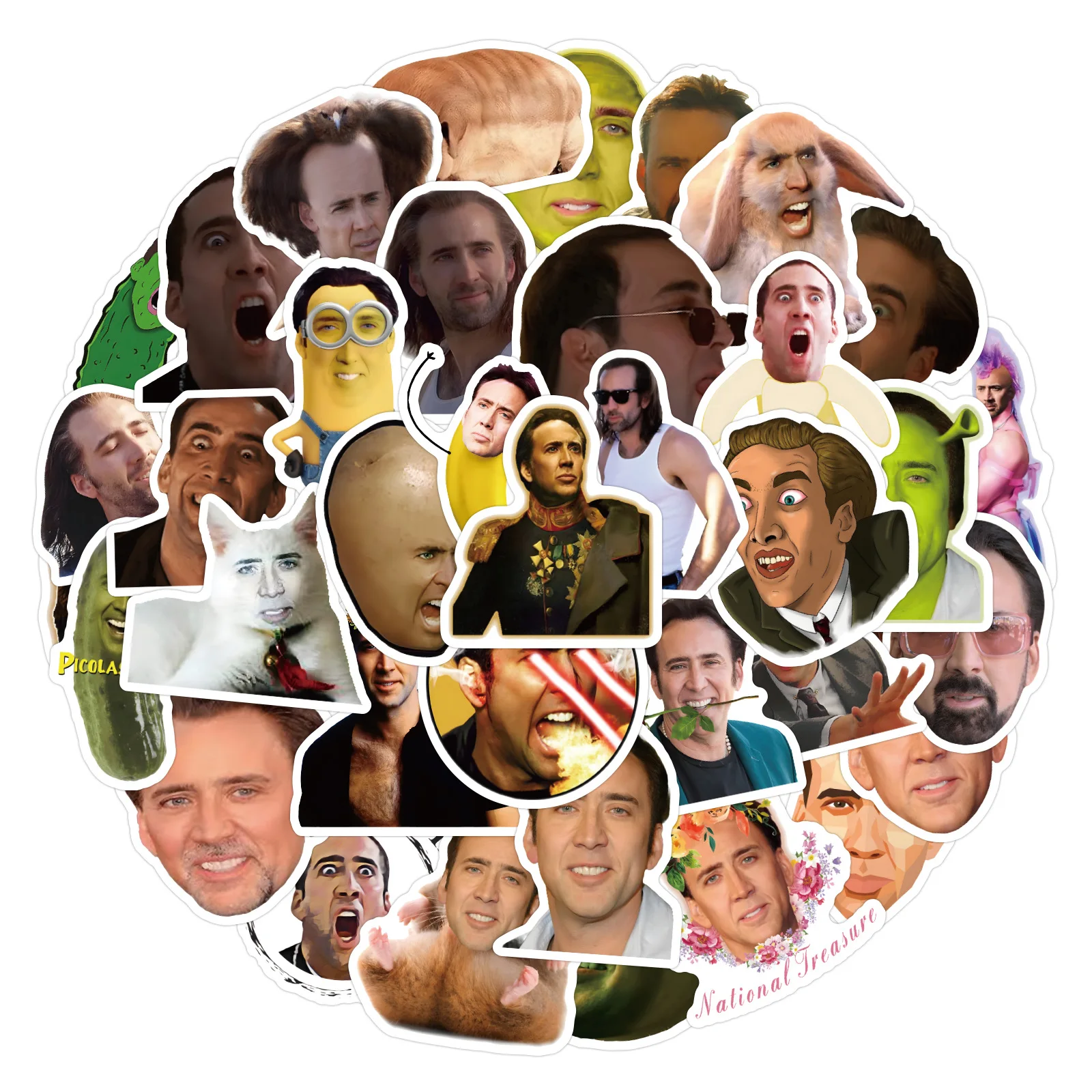 50PCS USA actor funny meme decals humorous nicolas cage sticker